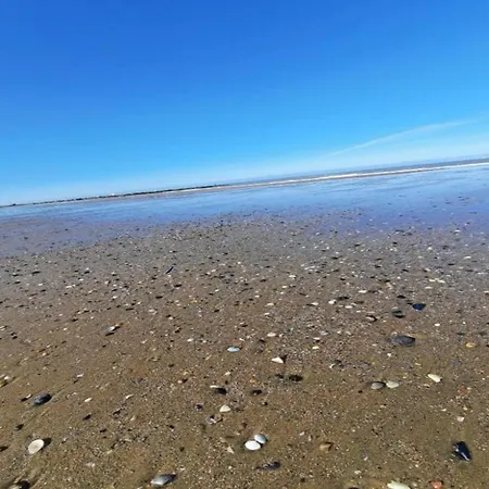 In Near Sandy Beaches, Cleaning Included Dağ evi De Haan